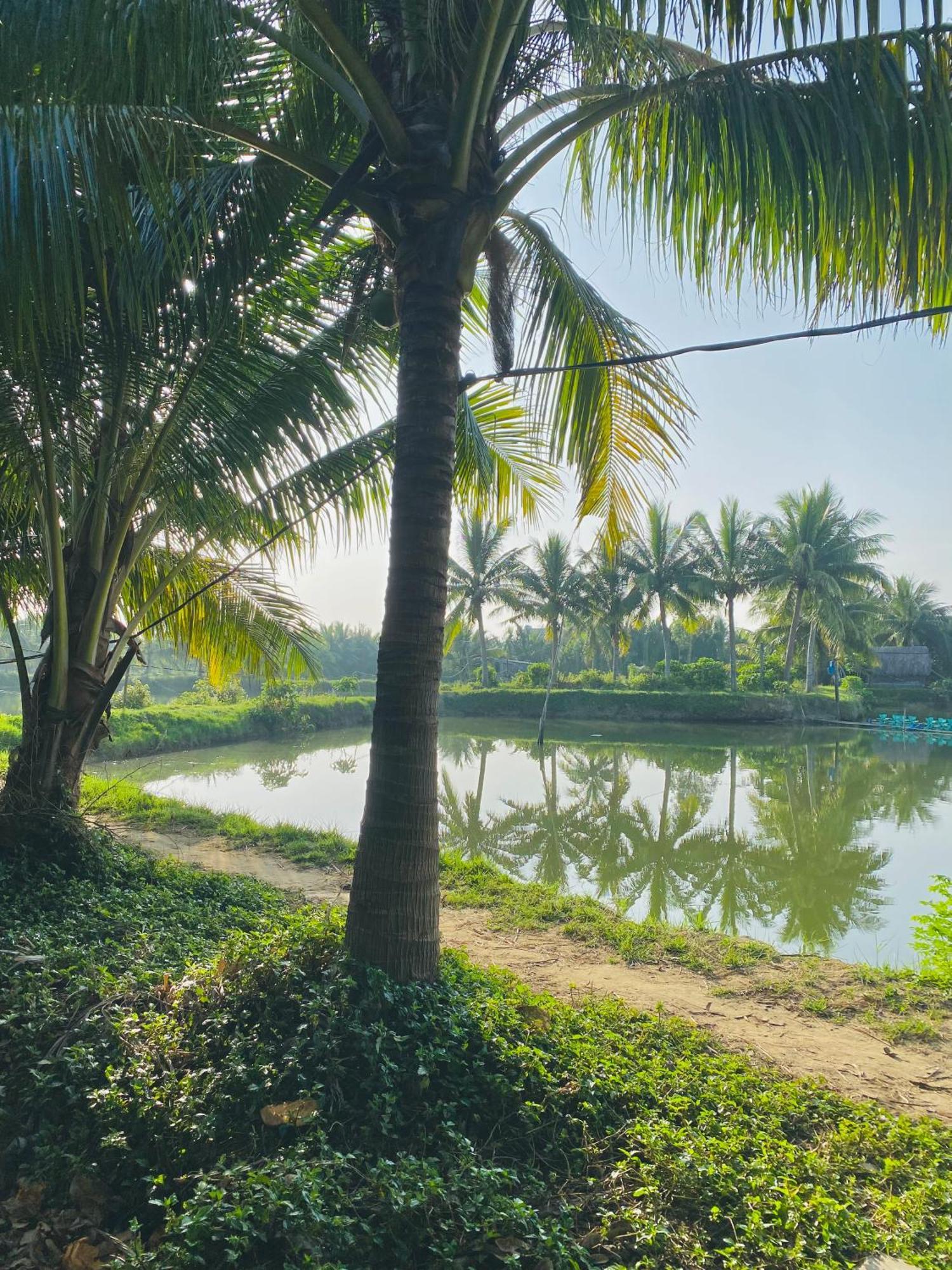 Laoxao Lakeview Homestay 会安 外观 照片